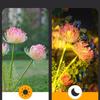Solar Garden Light Strip with Luminous Flowers and Stems, Upgraded Solar Panel Outdoor Decorative Lanterns, High-quality Courtyard Lighting