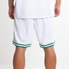 Nike Nba Boston Celtics Association Edition Swingman Dri FIT Shorts AJ5586-100