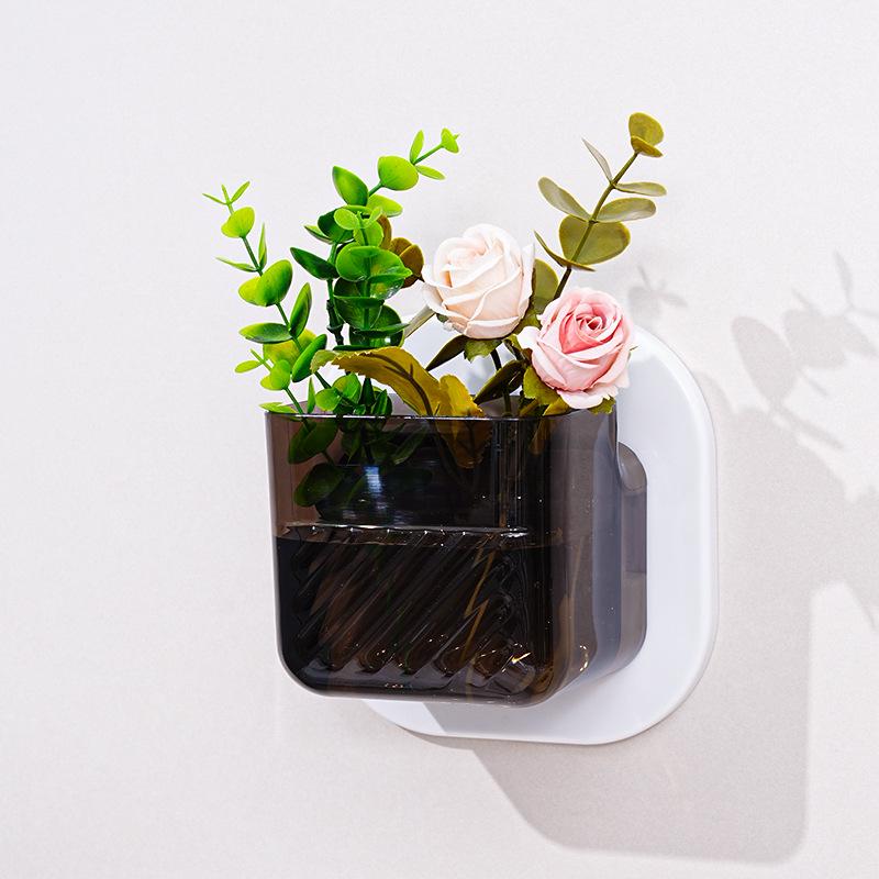 Transparent Wall-Mounted Plant & Fish Tank for Office/Living Room Décor