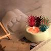Handmade Succulent Planter Mold Cat Claw Molds Silicone Mould for Plant Lovers