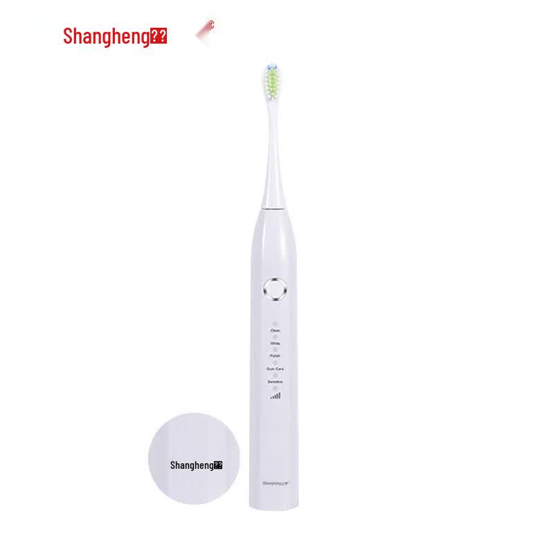 Shangheng SHZH-039 Sonic Rechargeable Electric Toothbrush CN plug (adapter included)