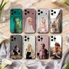 Telefon kapları – Smartphone Bumper Kılıflar