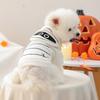 Abbigliamento e scarpe – Pullover per cani