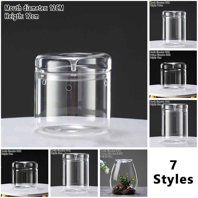 Glass Bottles Creativity Dew Collection Glass Vase Micro Landscape Succulent Moss Landscape Glass Terrarium Home Decor Bonsai