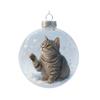 Cute Cat Christmas Ball Ornament 3D Animal Clear Plastic Ball Xmas Tree Ornaments