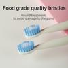 Smart Sonic Electric Toothbrush Low Noise Batteries with 2 Replaceable Brush Heads 2 Min Smart Timer Portable for Travel