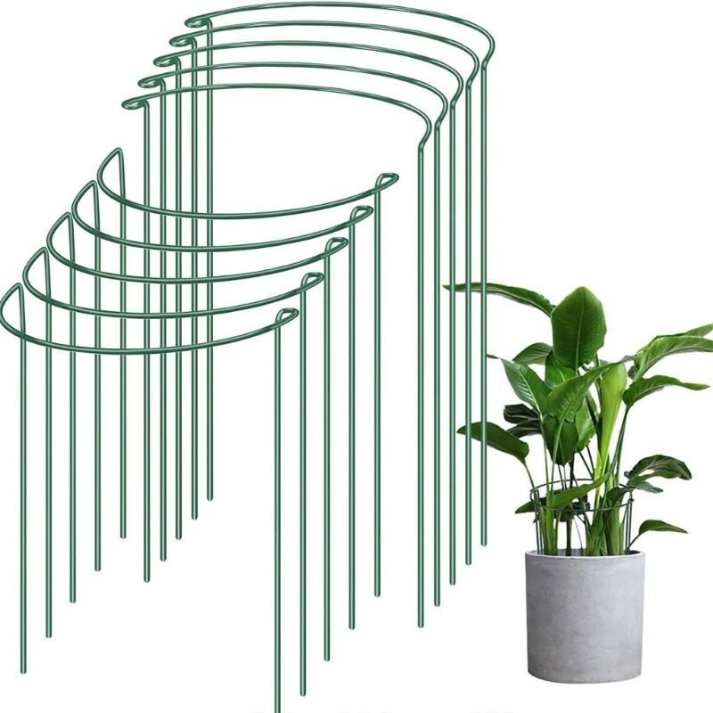 4 Pezzi Struttura di Supporto per Piante Palo di Supporto per Fiori per Garantire la Crescita Sana di Piante e Fiori da Interno ed Esterno