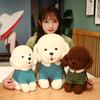 Kawaii Teddy Dog z ubraniami Pluszowe zabawki Wysokiej jakości wypchane miękkie lalki dla dzieci dziewczyny wystrój pokoju prezenty