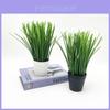 Artificial Allium Ascalonicum Potted Plant For Photography Studio Home Decor Gift
