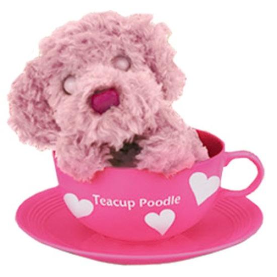 Teacup Poodle Petit Poo Love Poo