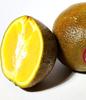 Citrus Sinensis NAVEL CHOCOLATE ORANGE 5 Semi-fresh