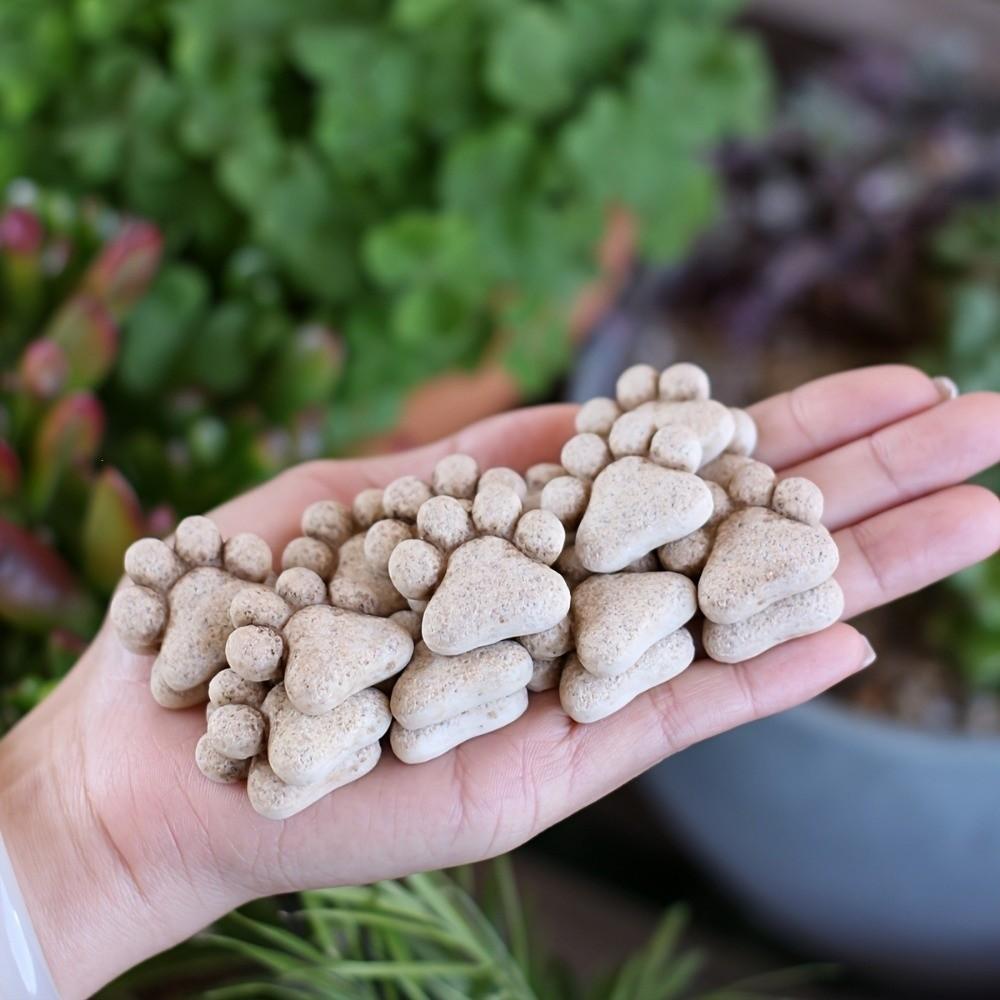 20pcs Landscaping Flowerpot Decoration Resin Cat Claw Ornaments Cat Paw Stepping Stones  Pathways
