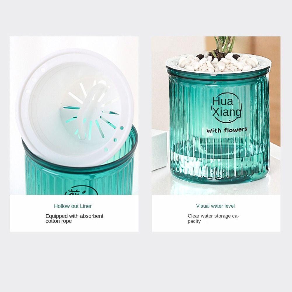 Transparenter Blumentopf Selbstbewässerung Gartendekoration Neuer Schreibtisch-Blumentopf