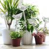 PVC Plastic Bird Plant Watering Globe Dispenser for Indoor Plant Flower Outdoor Houseplant Watering Bulb Dripper