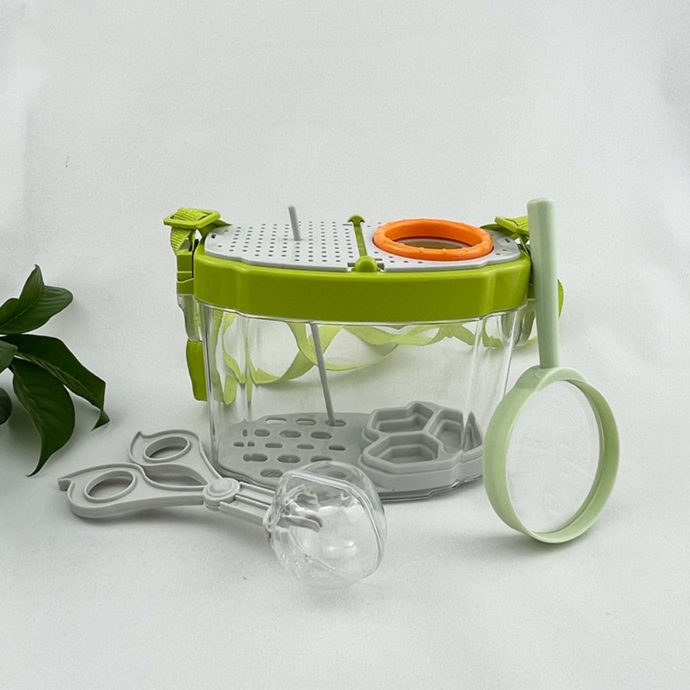 Breathable Silkworms Breeding Tank Adjustable Straps Insect Feeding Bin  Science Observation