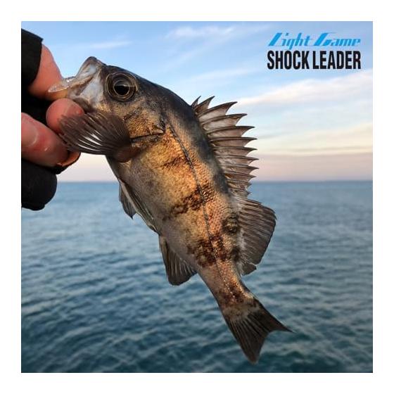 VARIVAS Light Game Shock Leader Fluorocarbon 30m No. 0.8 (3lb.over)
