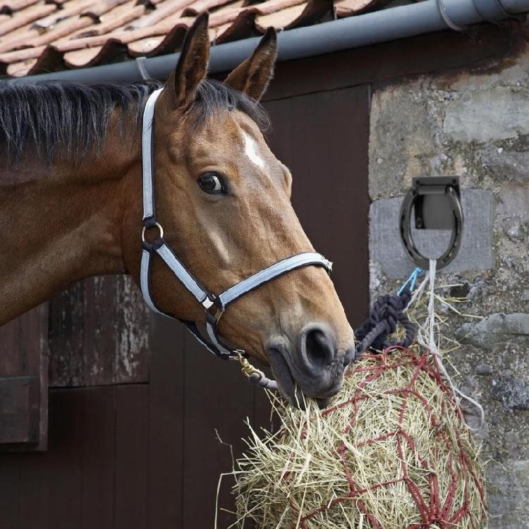 2Pcs Horseshoe Crosses Ties Down Solid Metal Horse Tie Rings with Expansion Screws Quick Install Horse Care Equipment