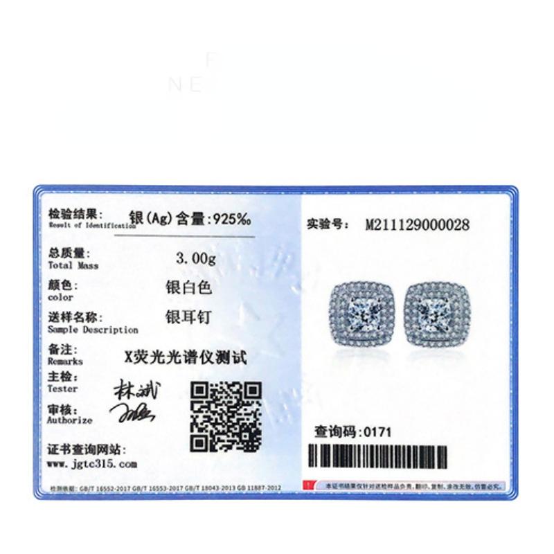 Tancise 925 Sterling Silver Zircon Earrings Drop Earrings For Women Wedding Party Gifts