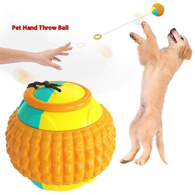 Yeni popüler köpek oyuncağı açık hava eğitimi el atma topu molar top