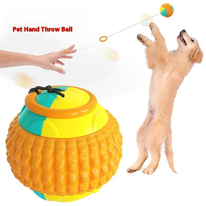 Nuovo popolare giocattolo per cani allenamento all'aperto palla da lancio a mano palla molare