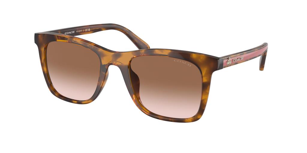Sunglasses HC8374F DARK TORTOISE PINK GRADIENT Lens 54 [Coach] Frame/BROWN