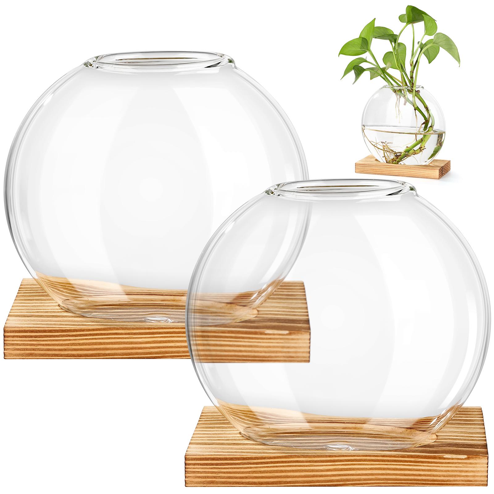 

2pcs Plant Terrarium Vases Table Decor Office Desktop Vase Ornament Home Decor For Indoor Live Hydroponics Plants