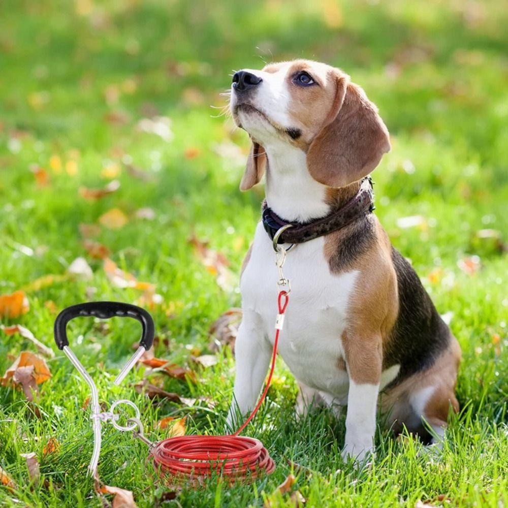 Hochleistungs-Doppelkopfleine 3/5/10 Meter Haustierkabelleine Hundeanbindekabel Camping/Wandern /Park