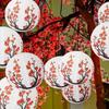 3 Stück Pflaumenblüten Design Papierlaternen Kirschblüten Papierlaternen Chinesisches Neujahr