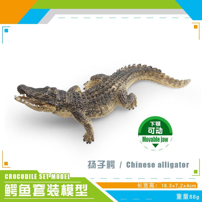 Mini Crocodile Wild Boar Caiman Nile Crocodile Alligator Wildlife Animal Model Scale Miniatures Decorations Simulated Home Decor
