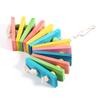 Wooden Colorful Pet Bird Parrot Chew Toy Hanging Cockatiel Parakeet Swing Cage Playing Toys New