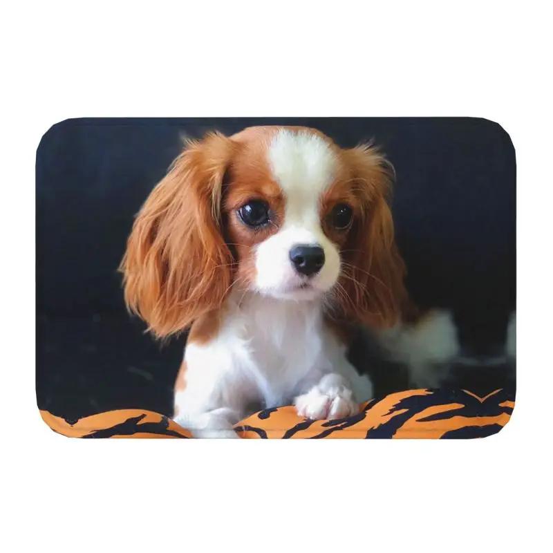 Dabbing Cavalier King Charles Spaniel Χορός Dab Πατάκι Εισόδου Εμπρός Αντιολισθητικό Εσωτερικού Χώρου Απορροφητικό Πατάκι Σκύλου Είσοδος Δωματίου Χαλί
