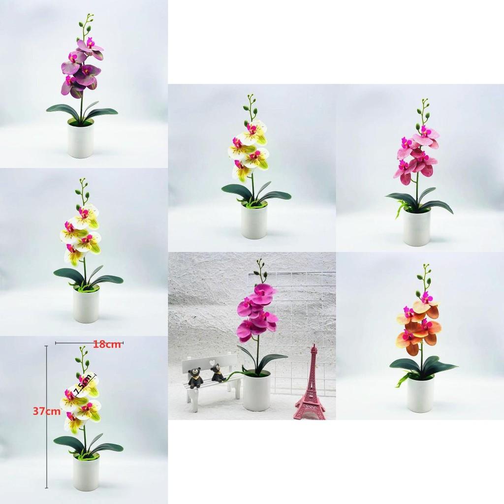 Fake Butterfly Orchid Bonsai With Pvc Material For Living Room Decor And Collectors