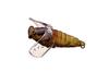 Pesca – Wobblers, iscos e anzóis