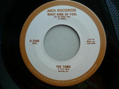 7inch Record TAMS - What Kind Of Fool D2400 MCA Records UK Soul/Funk Used