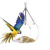 Clear Acrylic Window Bird Feeder Strong Suction Cup Transparent Bird House Chain Round Hanging Bird Feeder