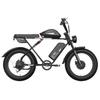 BLUVALL K10 20" Fat Bike Electric Bike, Double Battery 2236Wh, Double Suspension, Black