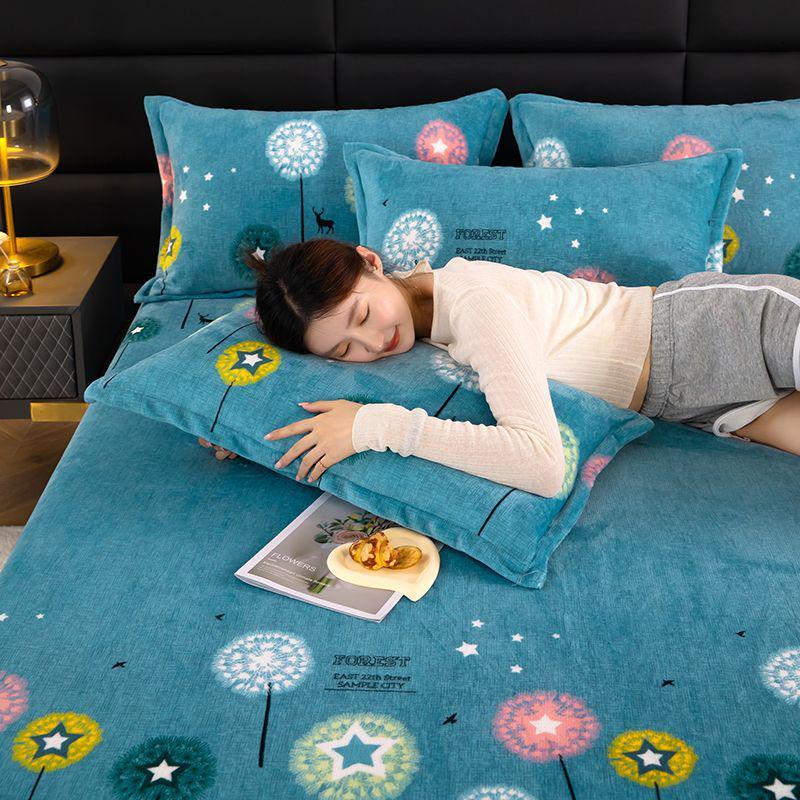 Winter Milk Velvet Flannel Pillow Set - Double-Sided Warm Pillow Core & Cover for Single/Double, Ideal for Students & Adults