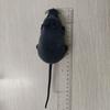 Remote Control Simulation Mouse Electric Spoof Trick Animal Model Children's Toys Funny Cat Pet Supplies
