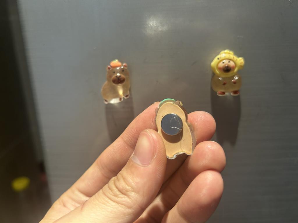 5 Stück DIY Kühlschrankmagnet Capybara Kugelfisch Magnete Nordisch Personalisierte Heimdeko Whiteboard Po Memoboard Zuhause