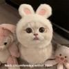 Pet Fashion Comfortable Bunny Ears Cat Hat Velcro Adorable Pet Accessories Lightweight Cat Cap For Cats