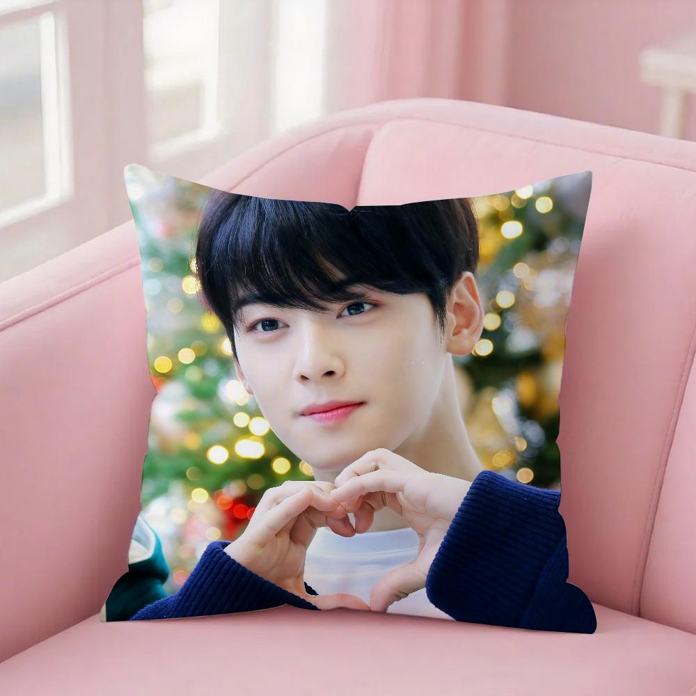 Singer C-Cha Eun-Woo Pillow Case Square Double-Sided Printing Sofa Cushion Cover Bedroom Bedside Pillowcover