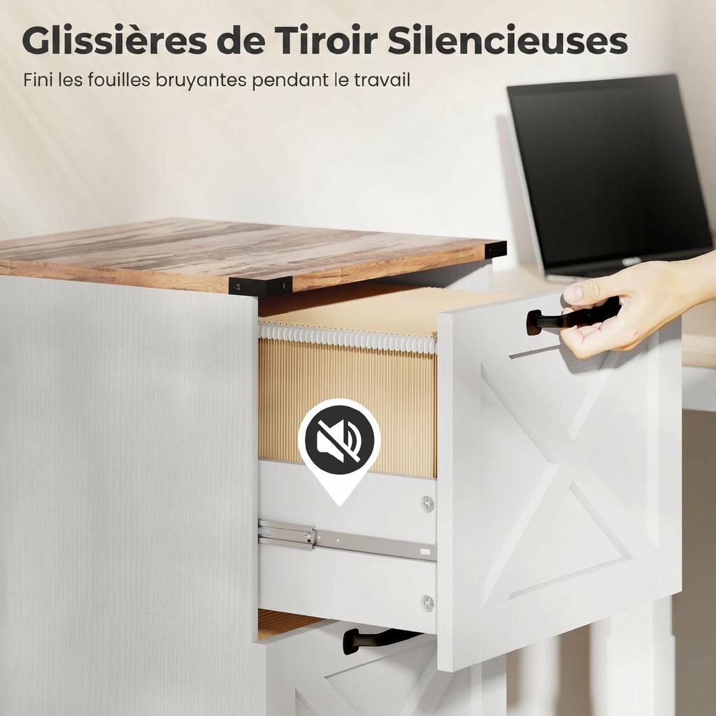 Office Filing Cabinet, 2 Drawers, Hanging File Holders, Letter/A4, 40 x 40 x 71 cm, White