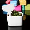 20pcs/lot 6 x10cm Plastic Plant T-type Tags Markers Nursery Garden Labels Decoration