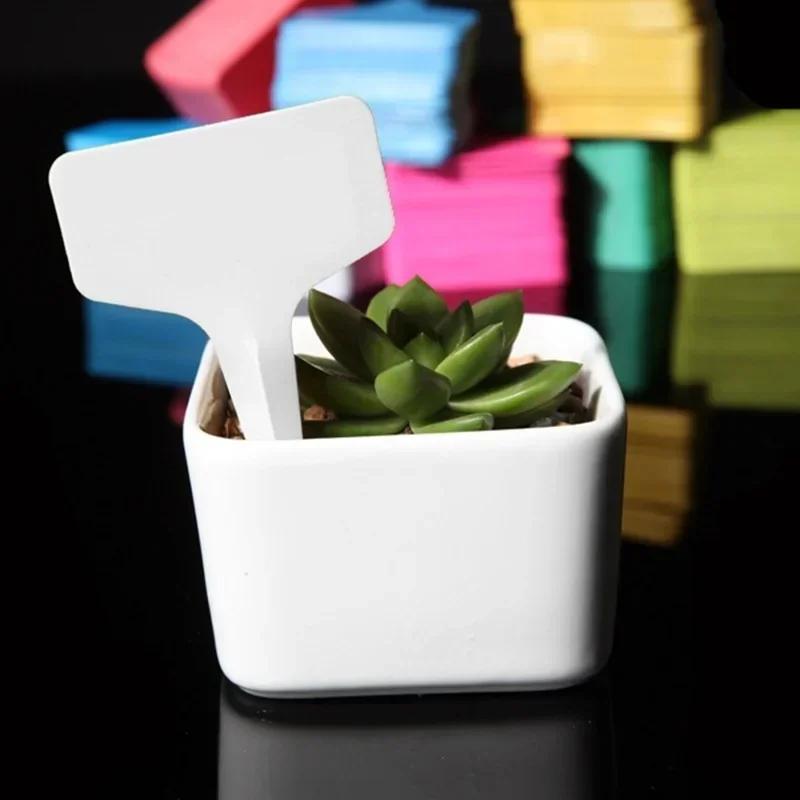 20pcs/lot 6 x10cm Plastic Plant T-type Tags Markers Nursery Garden Labels Decoration