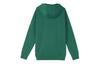 Nike Sweatshirts Unisex Green Hooded Moderate Other BV2655-341