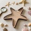 Creative Starfish-Shaped Display Box Wooden Multi-Function Star Piggy Bank Translucent Decoration Desk Organizer Home Decor