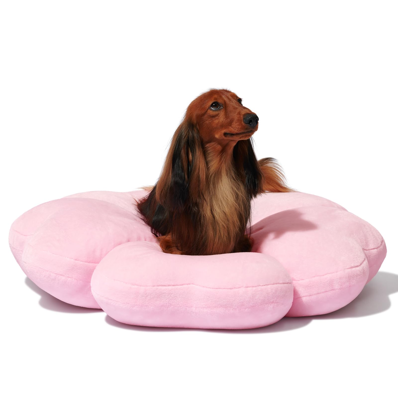 

VETRESKA Pet Pet Cherry Blossom Thick Pet Cherry Blossom Pet Sound Cold для стиральной машины для мелких домашних животных Диаметр 76 см L Кровать, подушка, форма, коврик, милый, розовый