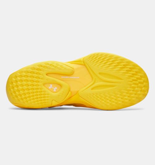 [Under Armour] Curry 13 [6015002-790]