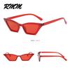 Vintage Small Sunglasses Women Cat Eye Sunglasses 2019 Sexy Red Sun Glasses for Female Brand Designer Eyewear