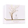Aurora scents Deciduous Summer 100 ml EDP for women